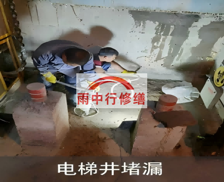 河北星雨华府电梯井堵漏案例